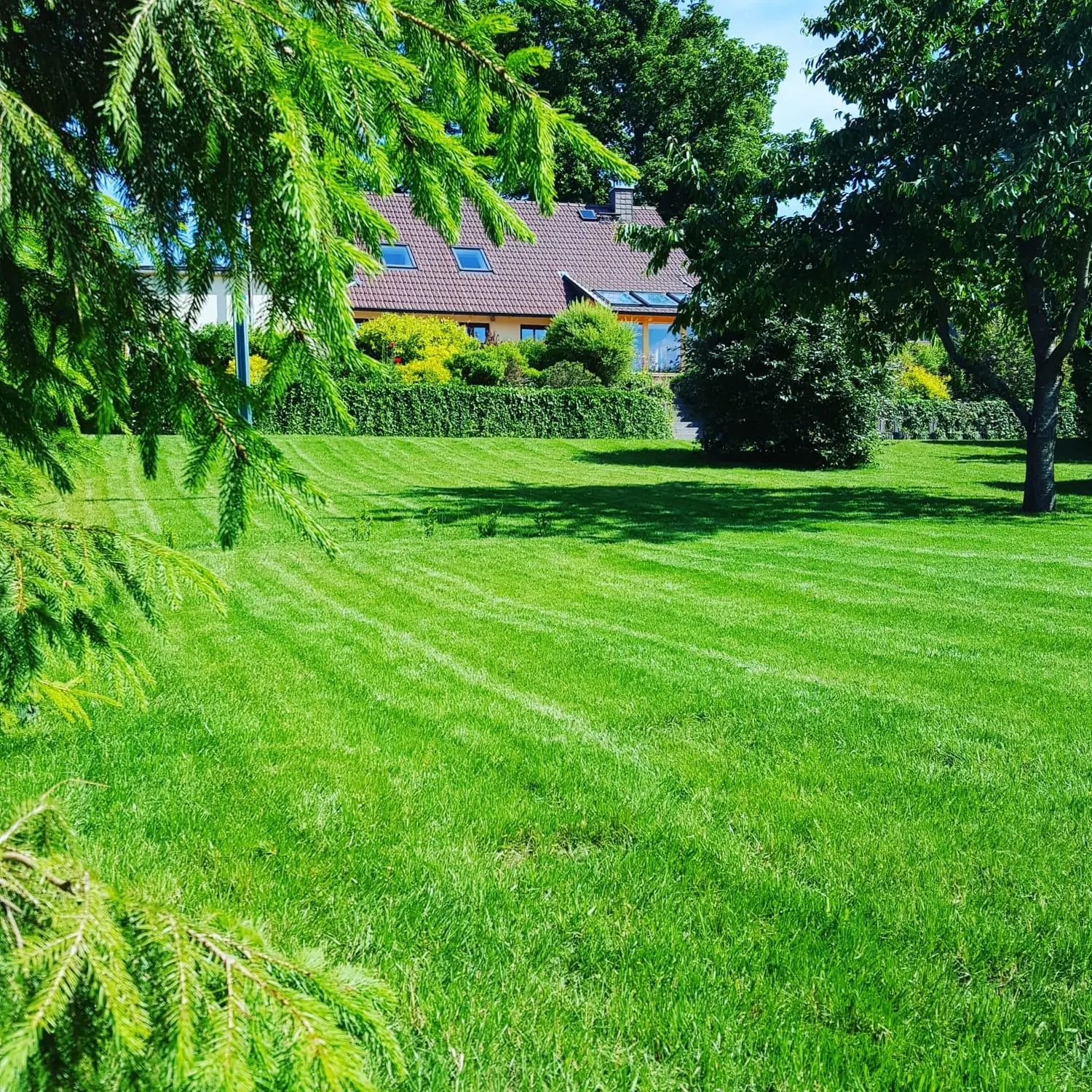 Krafft-Holiday Vermietung Ferien Immobilien Krakow am See Garten
