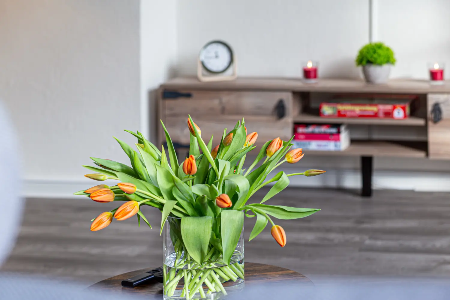 Krafft-Holiday Vermietung Ferienwohnung Rostock Wohnzimmer