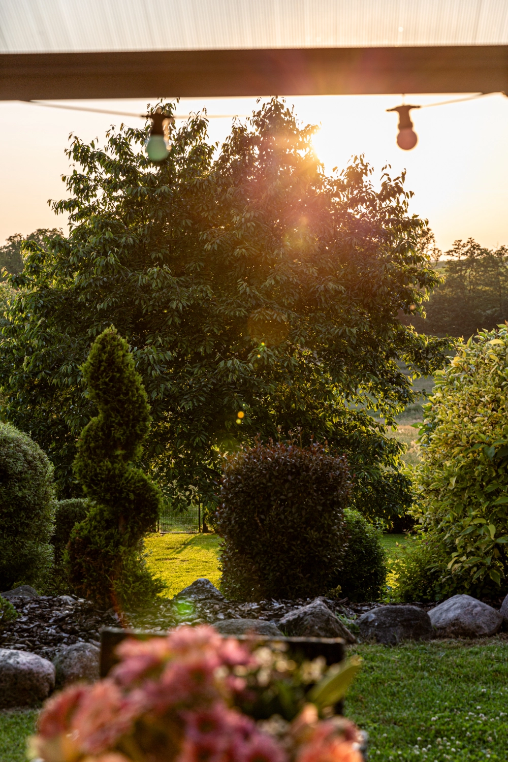 ferienhaus wiesenblick, ferienwohnung rostock, krakow am see immobilien,  wochenendhaus rostock. Ferienhaus Rostock, Ferienhaus Krakow am See, Ferienunterkunft Krakow am See , Ferienunterkunft Rostock , Urlaub in Krakow am See , Urlaub in Rostock, ferienhaus wiesenblick, ferienwohnung rostock, krakow am see immobilien,  wochenendhaus rostock. Ferienhaus Rostock, Ferienhaus Krakow am See, Ferienunterkunft Krakow am See , Ferienunterkunft Rostock , Urlaub in Krakow am See , Urlaub in Rostock, ferienhaus wiesenblick, ferienwohnung rostock, krakow am see immobilien,  wochenendhaus rostock. Ferienhaus Rostock, Ferienhaus Krakow am See, Ferienunterkunft Krakow am See , Ferienunterkunft Rostock , Urlaub in Krakow am See , Urlaub in Rostock, Krafft-Holiday Vermietung Ferienwohnung Rostock Zimmer