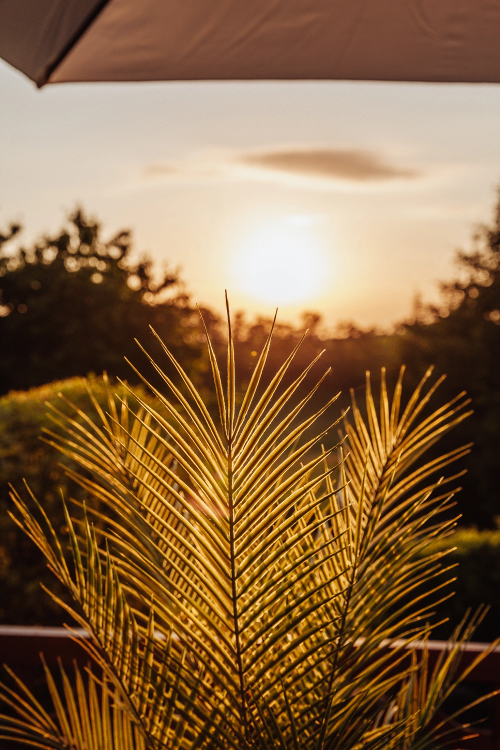 Ferienhaus mit Sauna in Krakow am See, Krafft-Holiday Vermietung Ferienwohnung Rostock Wohnzimmer