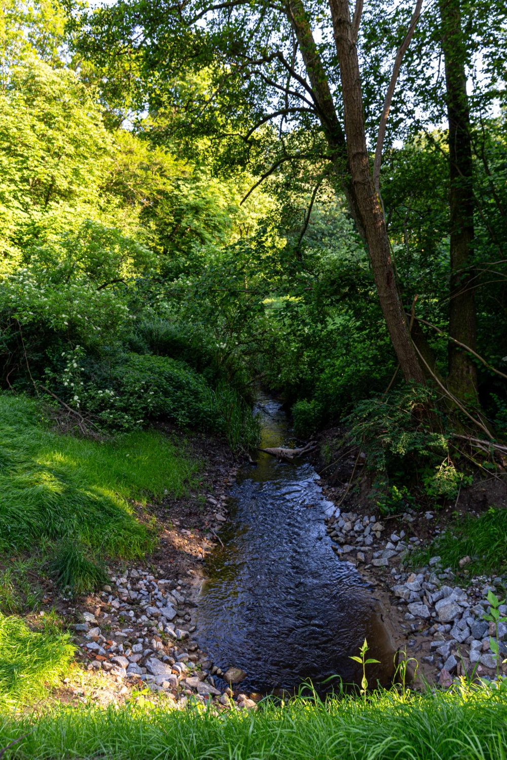 Ferienhaus mit Sauna in Krakow am See, ferienhaus wiesenblick, ferienwohnung rostock, krakow am see immobilien,  wochenendhaus rostock. Ferienhaus Rostock, Ferienhaus Krakow am See, Ferienunterkunft Krakow am See , Ferienunterkunft Rostock , Urlaub in Krakow am See , Urlaub in Rostock