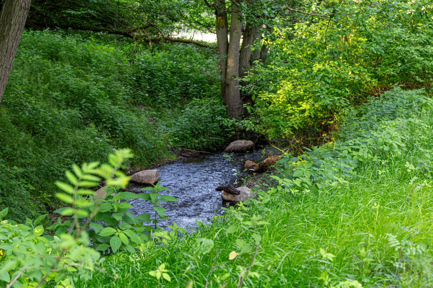 Ferienhaus mit Sauna in Krakow am See, Krafft-Holiday Vermietung Ferienwohnung Rostock Badezimmer