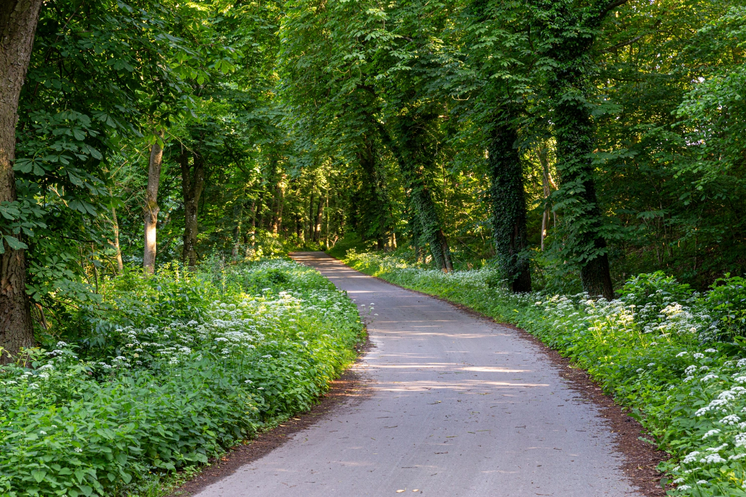 Ferienhaus mit Sauna in Krakow am See, ferienhaus wiesenblick, ferienwohnung rostock, krakow am see immobilien,  wochenendhaus rostock. Ferienhaus Rostock, Ferienhaus Krakow am See, Ferienunterkunft Krakow am See , Ferienunterkunft Rostock , Urlaub in Krakow am See , Urlaub in Rostock